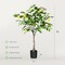 Lifelike Artificial Lemon Tree: Pre-Potted Faux Plant for Home and Office Decor